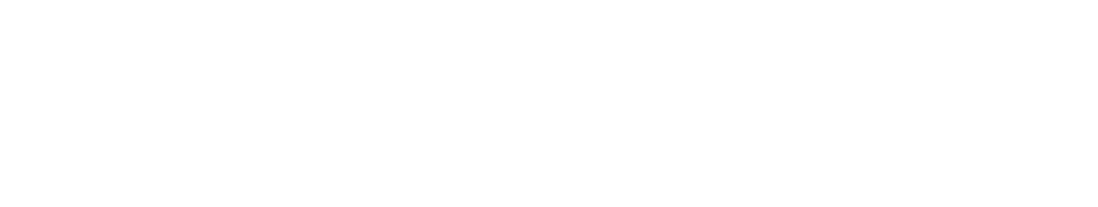 3DS 2026 SOLIDWORKS LOGOTYPE WHITE RGB